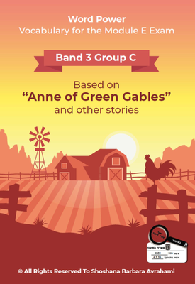 WORD POWER - Band 3 VOCABULARY- GROUP C